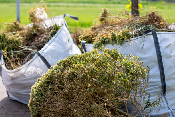 Best Retail Junk Removal  in New Martinsville, WV
